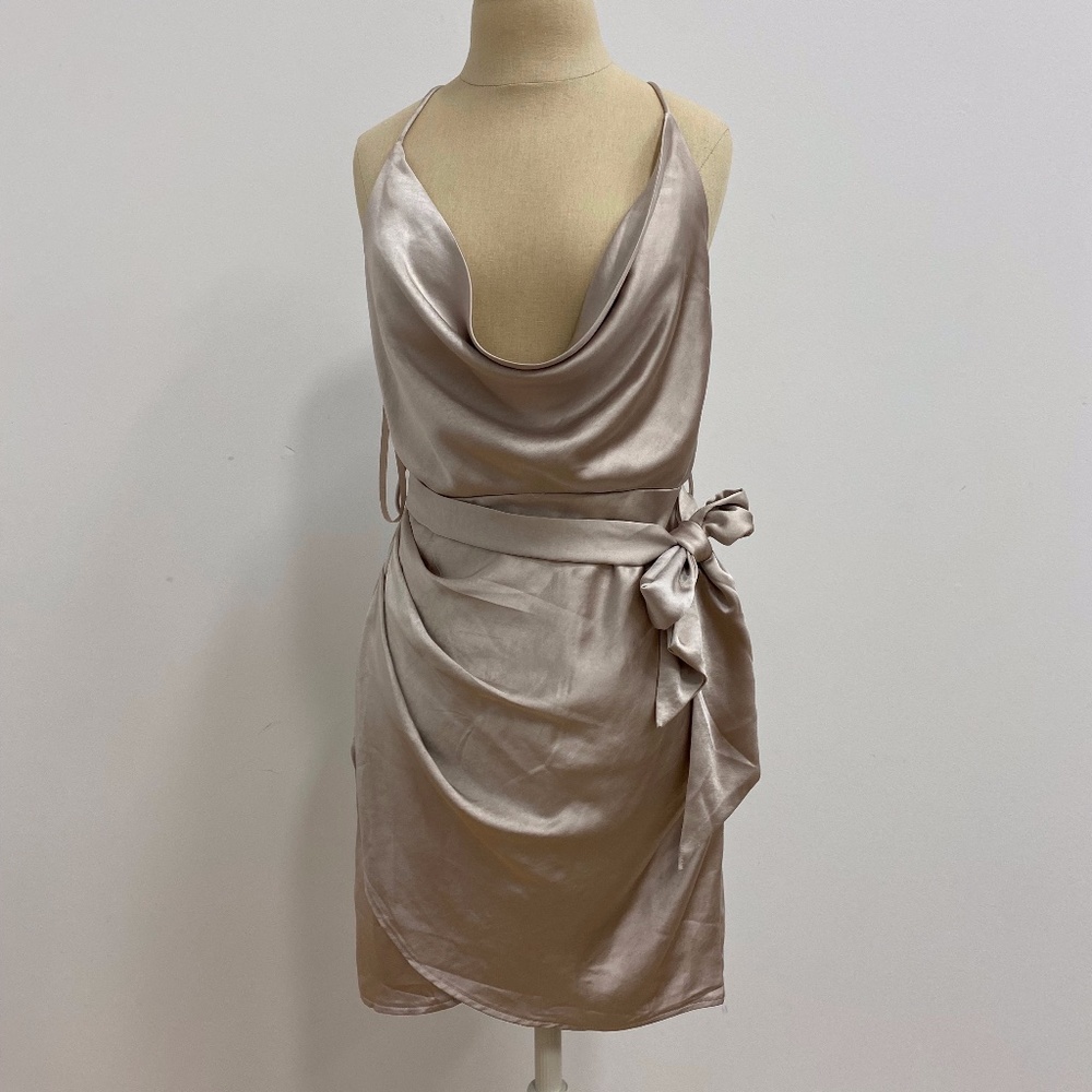 Silk Champagne Dress